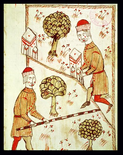 Ms 327 fol.28r Levantamento e demarcação de terras, de &39;Land Survey&39; por Arnaud de Villeneuve (1240-1312) de Bertrand Boysset